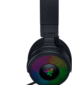 Razer Kraken V4 Pro Wireless Gaming Headset +HUB Black (RZ04-05160100-R3M1)